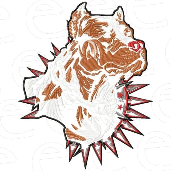 pitbull in spiked collar with chain