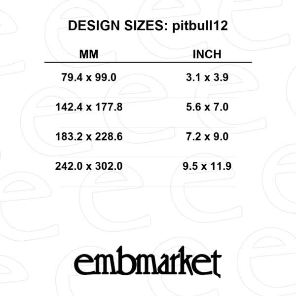 pitbull in spiked collar with chain